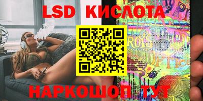 сатива Можга