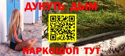 сатива Можга