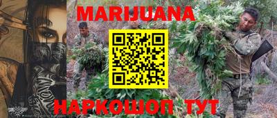 сатива Можга