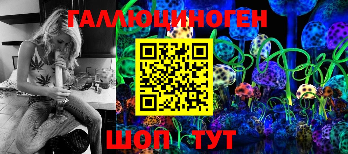 Дюртюли  продажа наркотиков  Вход с VPN  Псилоцибиновые грибы Psilocybe 