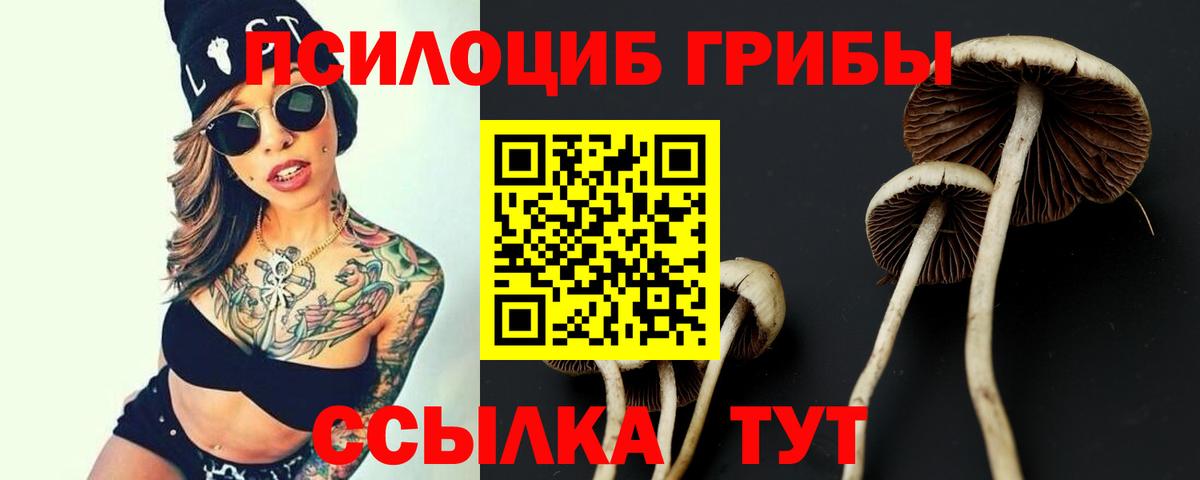 Псилоцибиновые грибы Cubensis Дюртюли